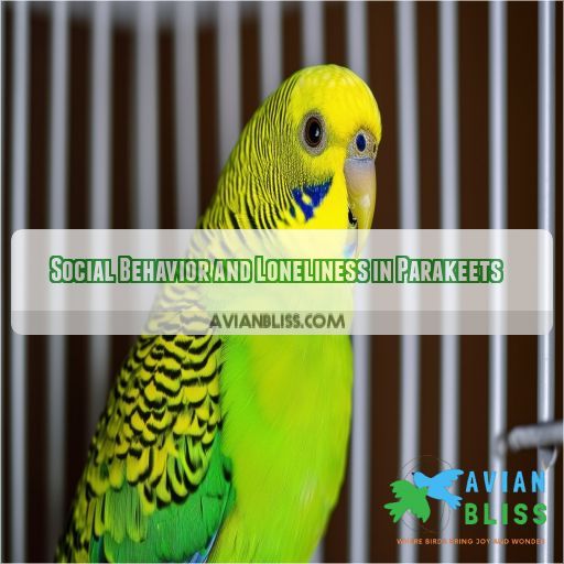 Social Behavior and Loneliness in Parakeets
