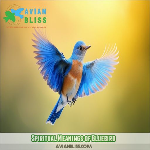 Spiritual Meanings of Bluebird