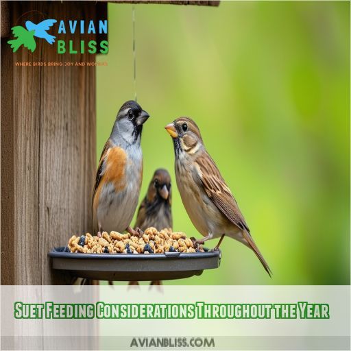 Suet Feeding Considerations Throughout the Year