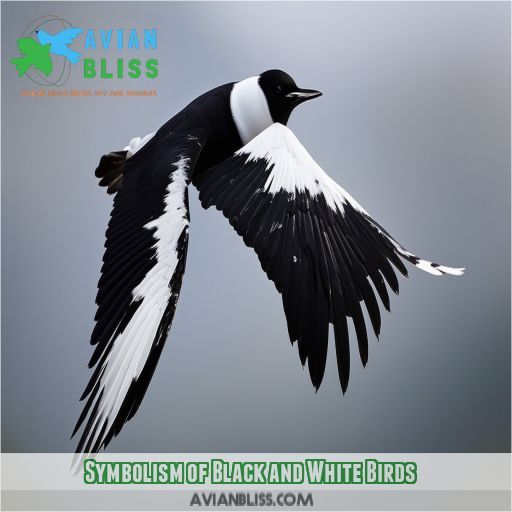 Symbolism of Black and White Birds