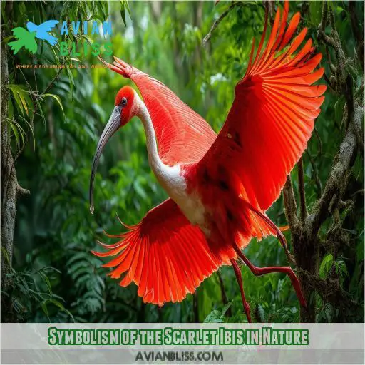 Symbolism of the Scarlet Ibis in Nature