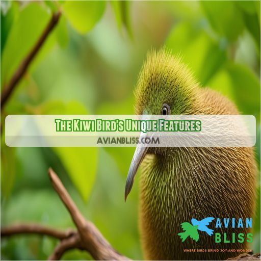 The Kiwi Bird