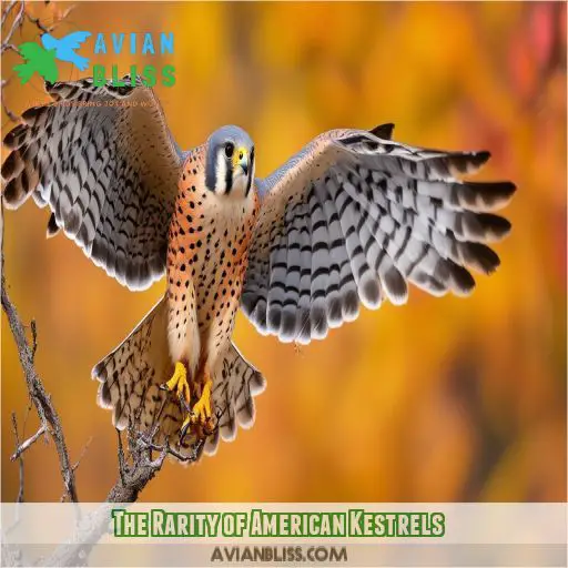 The Rarity of American Kestrels