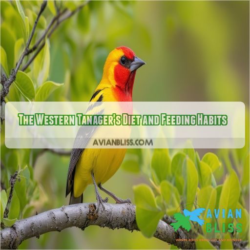 Vibrant Western Tanager: Discover Its Habitat, Diet, and Nesting Habits