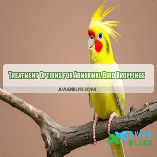 Treatment Options for Abnormal Bird Droppings