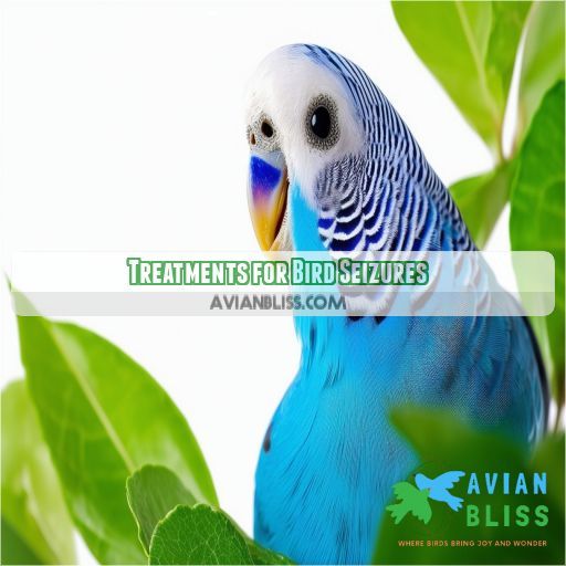 Treatments for Bird Seizures