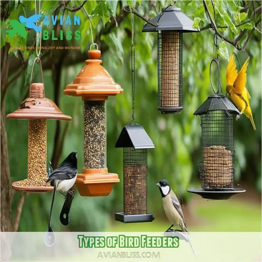 Types of Bird Feeders