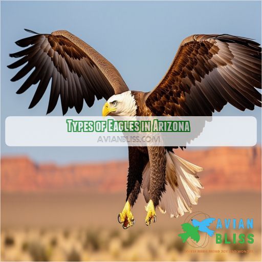 Types of Eagles in Arizona