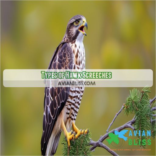 Types of Hawk Screeches