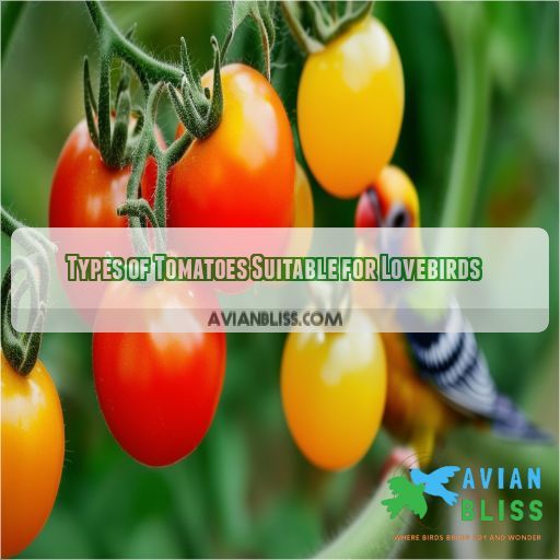 Types of Tomatoes Suitable for Lovebirds