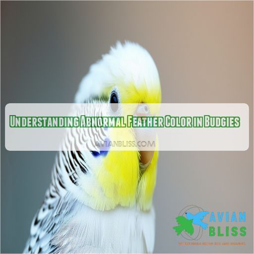 Understanding Abnormal Feather Color in Budgies