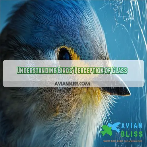 Understanding Birds