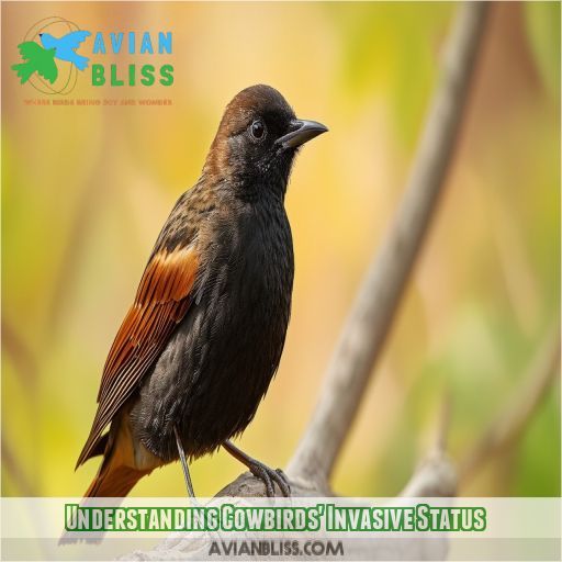 Understanding Cowbirds