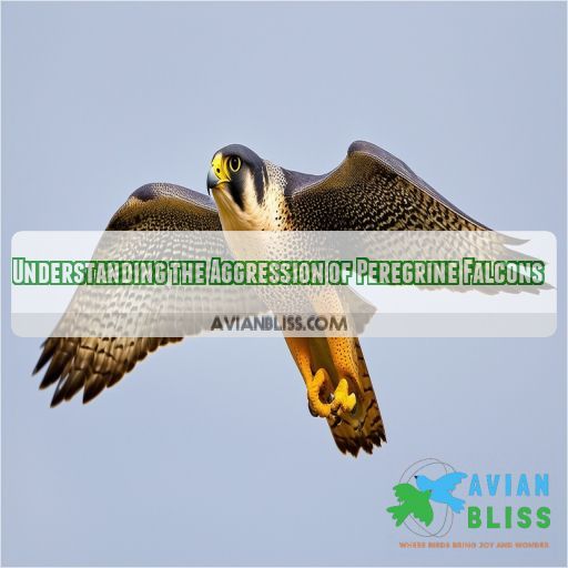 Understanding the Aggression of Peregrine Falcons