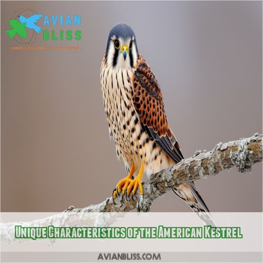 Unique Characteristics of the American Kestrel