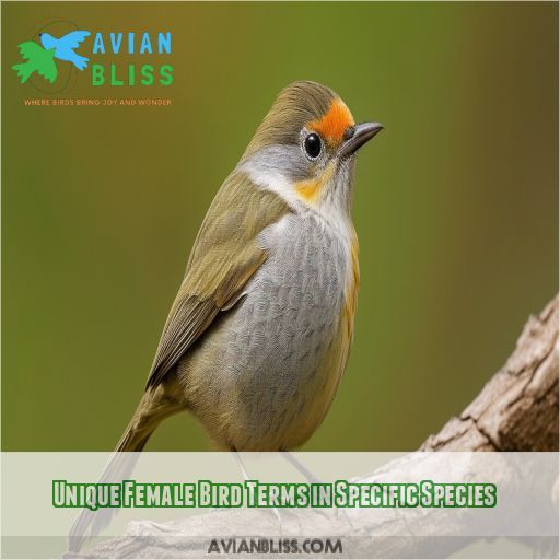 Unique Female Bird Terms in Specific Species