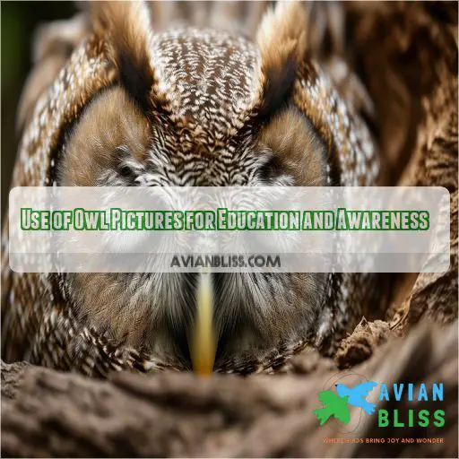 Use of Owl Pictures for Education and Awareness