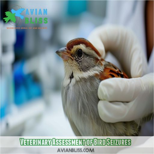 Veterinary Assessment of Bird Seizures