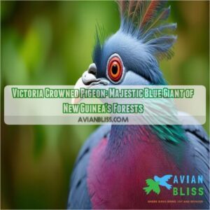 victoria crowned pigeon