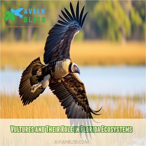 Vultures and Their Role in Florida Ecosystems