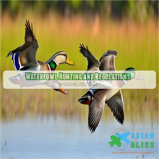 Waterfowl Hunting and Regulations