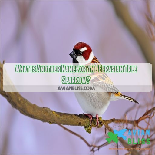 What is Another Name for the Eurasian Tree Sparrow