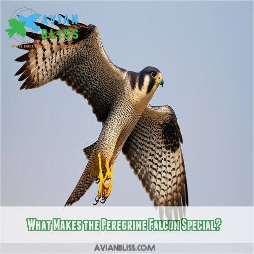 What Makes the Peregrine Falcon Special