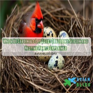 When Do Cardinals Lay Eggs