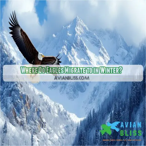 Where Do Eagles Migrate to in Winter