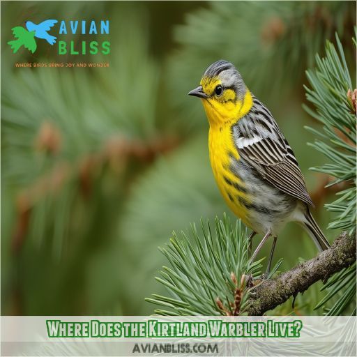 Where Does the Kirtland Warbler Live