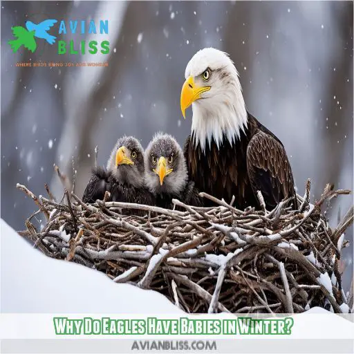 Why Do Eagles Have Babies in Winter