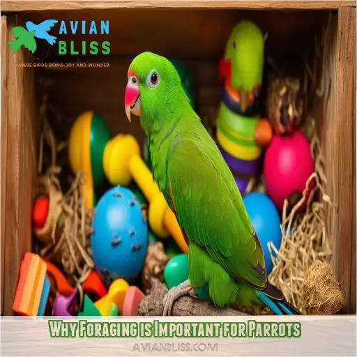 Why Foraging is Important for Parrots