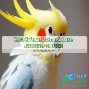 why is my female cockatiel suddenly aggressive