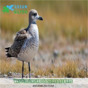 Why Penguins Are Birds: Surprising Facts About These Flightless Swimmers