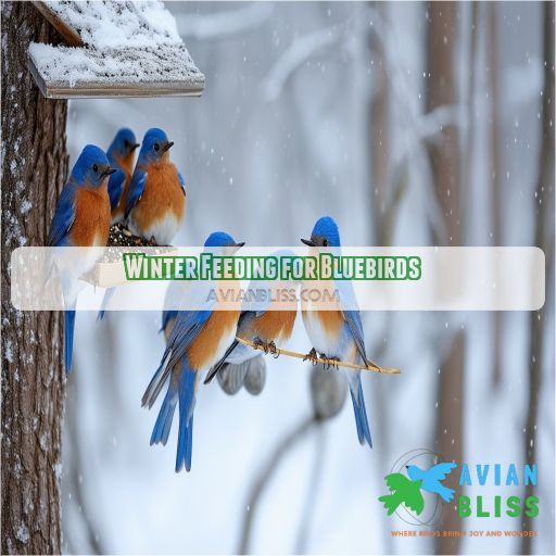 Winter Feeding for Bluebirds