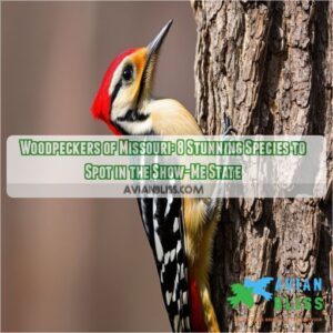 woodpeckers of missouri