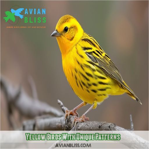 Yellow Birds With Unique Patterns