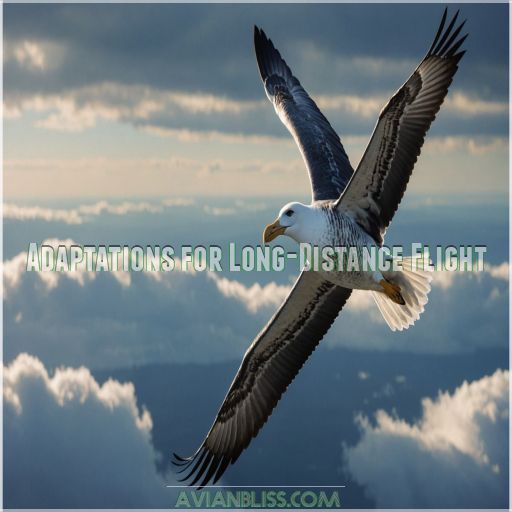 Adaptations for Long-Distance Flight