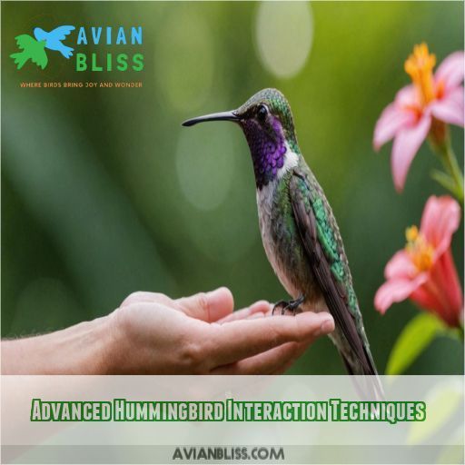 Advanced Hummingbird Interaction Techniques