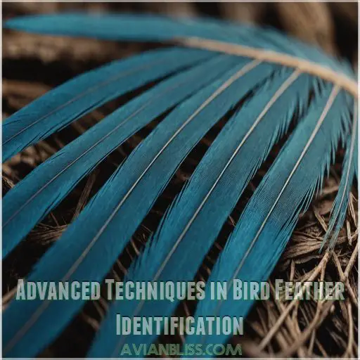 Advanced Techniques in Bird Feather Identification