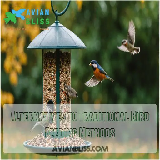 Alternatives to Traditional Bird Feeding Methods