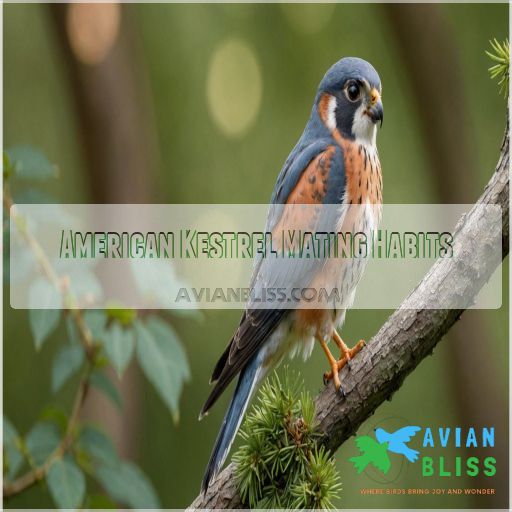 American Kestrel Mating Habits