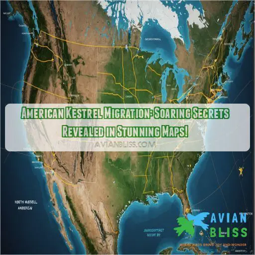 american kestrel migration seasonal movements migration map