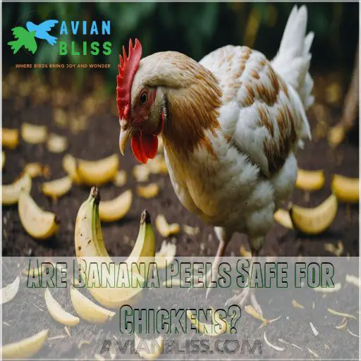 Are Banana Peels Safe for Chickens