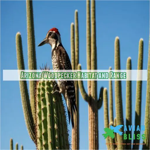 Arizona Woodpecker Habitat and Range