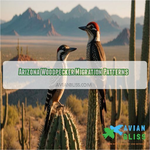 Arizona Woodpecker Migration Patterns