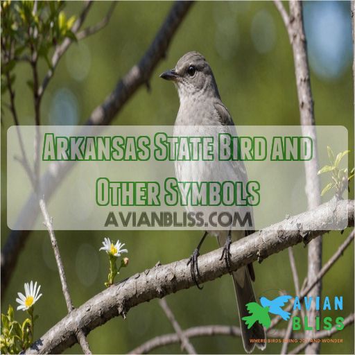 Arkansas State Bird and Other Symbols