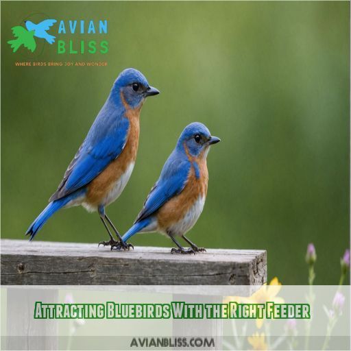 Attracting Bluebirds With the Right Feeder