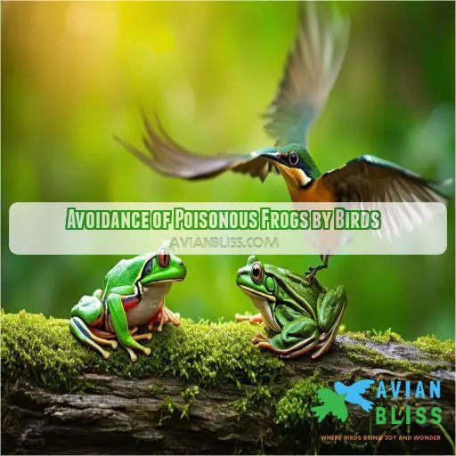 Avoidance of Poisonous Frogs by Birds