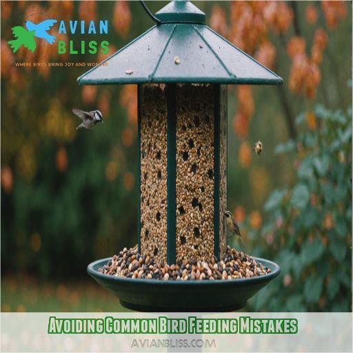 Avoiding Common Bird Feeding Mistakes